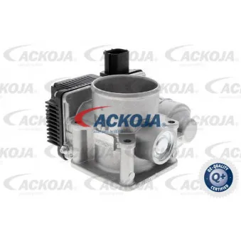 Corps papillon ACKOJA A38-81-0001