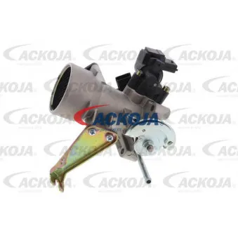 Corps papillon ACKOJA A38-81-0008