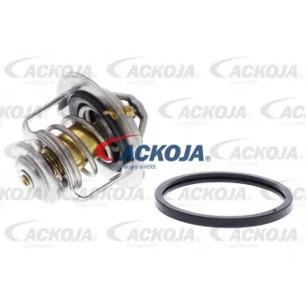 Thermostat d'eau ACKOJA A38-99-0003