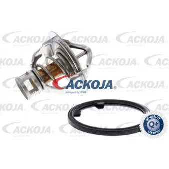 Thermostat d'eau ACKOJA A38-99-0005