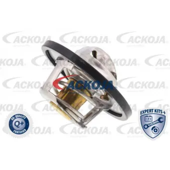 Thermostat d'eau ACKOJA A38-99-0008