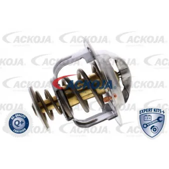 Thermostat d'eau ACKOJA A38-99-0013