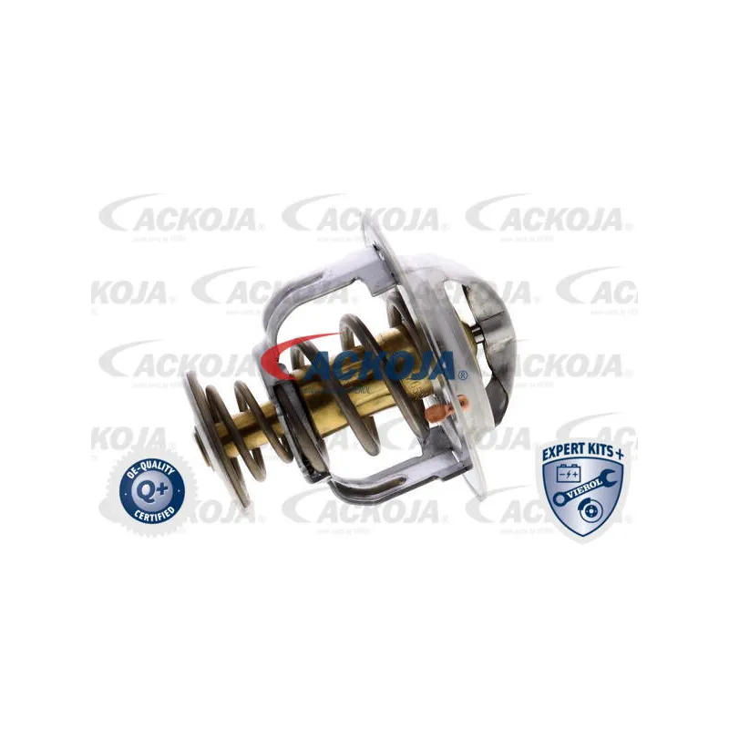 Thermostat d'eau ACKOJA A38-99-0013