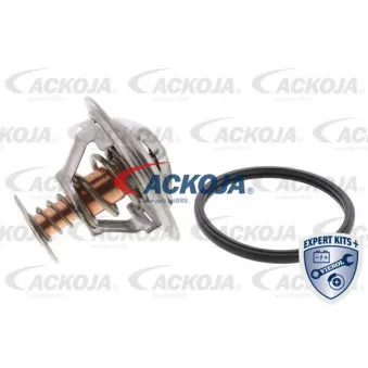 Thermostat d'eau ACKOJA A38-99-0014