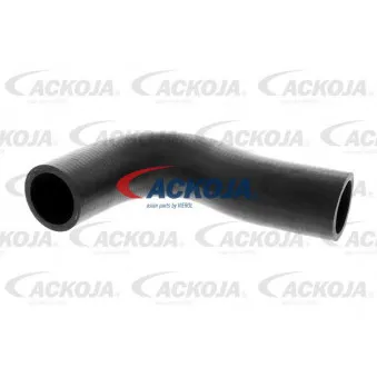 Durite de radiateur ACKOJA A51-1602