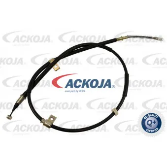 Tirette à câble, frein de stationnement arrière droit ACKOJA A51-30002