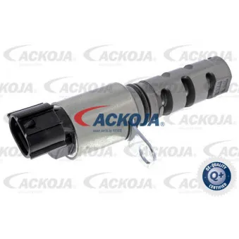 Valve de commande, réglage d'arbres à came ACKOJA A52-0385