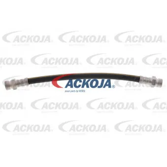 Flexible de frein arrière droit ACKOJA A52-0461