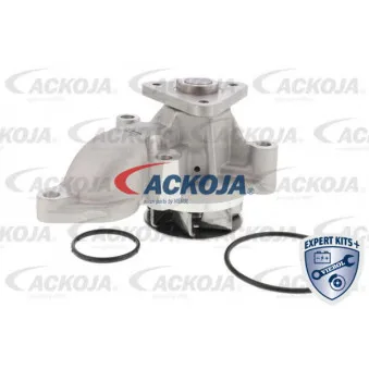 Pompe à eau ACKOJA A52-0704