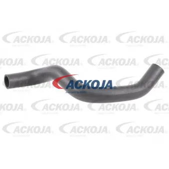 Durite de radiateur ACKOJA A52-1614