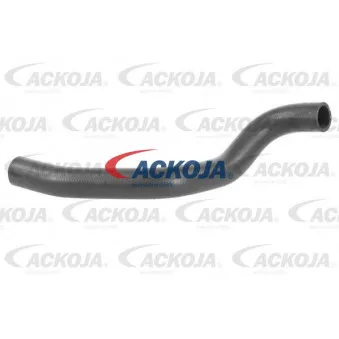 Durite de radiateur ACKOJA A52-1616