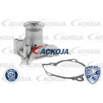 Pompe à eau ACKOJA A52-50001