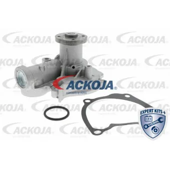 Pompe à eau ACKOJA A52-50004