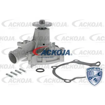 Pompe à eau ACKOJA A52-50007