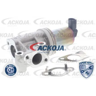 Vanne EGR ACKOJA A52-63-0006