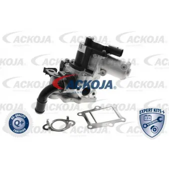 Vanne EGR ACKOJA A52-63-0013