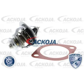 Thermostat d'eau ACKOJA A52-99-0003