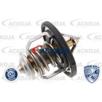 Thermostat d'eau ACKOJA A52-99-0004