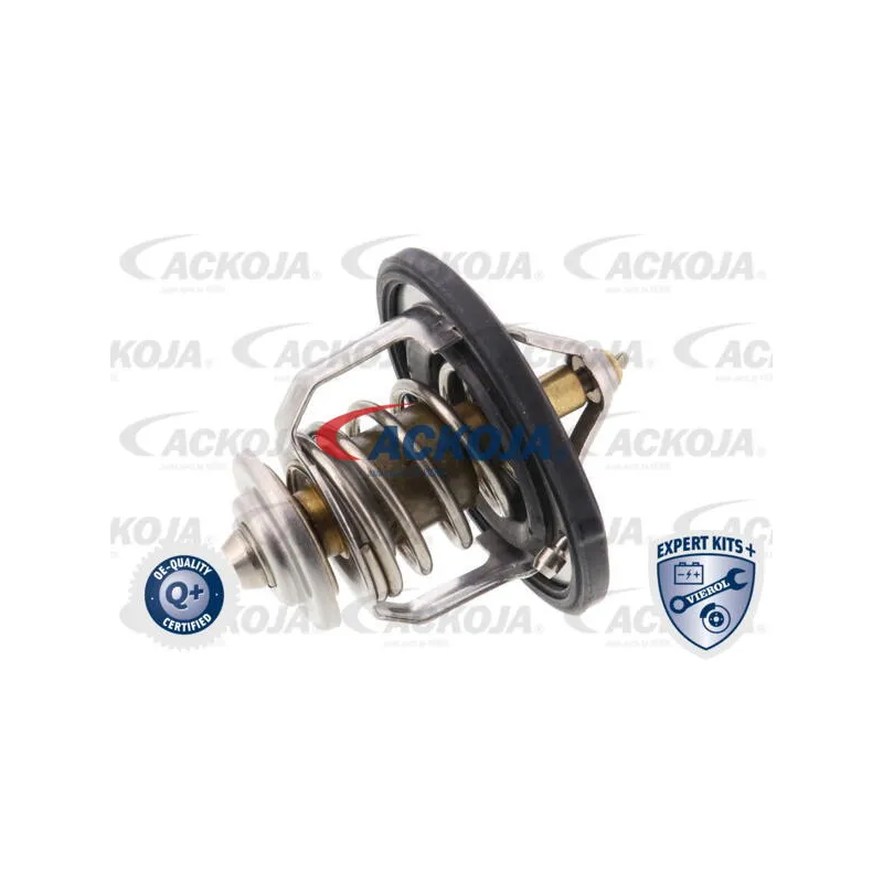Thermostat d'eau ACKOJA A52-99-0004