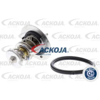 Thermostat d'eau ACKOJA A52-99-0019