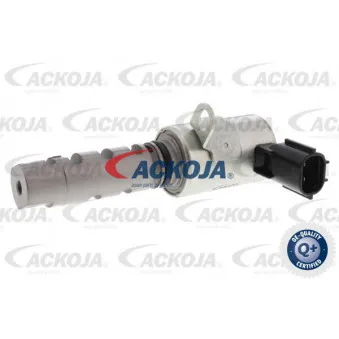 Valve de commande, réglage d'arbres à came ACKOJA A53-0084