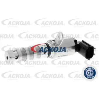 Valve de commande, réglage d'arbres à came ACKOJA A53-0088