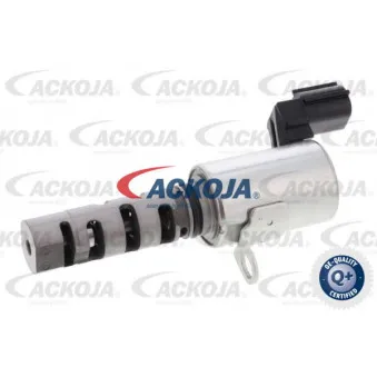 Valve de commande, réglage d'arbres à came ACKOJA A53-0121