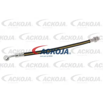 Flexible de frein arrière gauche ACKOJA A53-0195