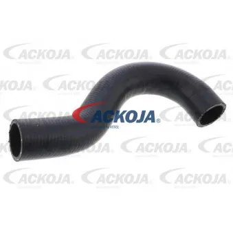 Durite de radiateur ACKOJA A53-1600
