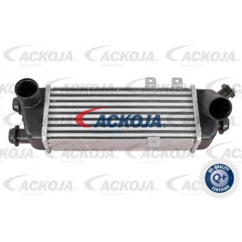 Intercooler, échangeur ACKOJA A53-60-0006