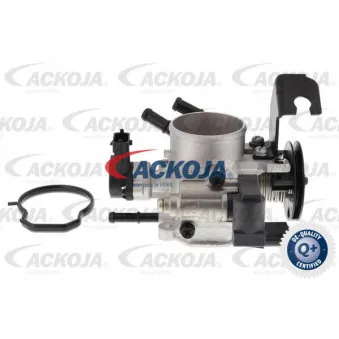Corps papillon ACKOJA A53-81-0003
