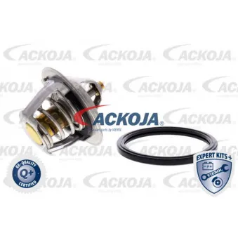 Thermostat d'eau ACKOJA A53-99-0002