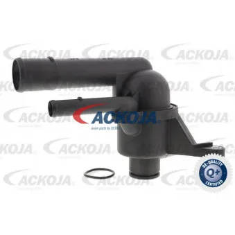 Thermostat d'eau ACKOJA A53-99-0009