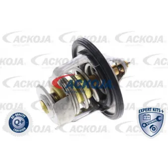 Thermostat d'eau ACKOJA A54-99-0003