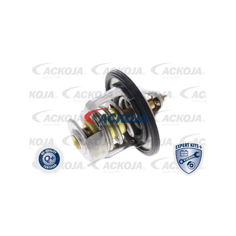 Thermostat d'eau ACKOJA A54-99-0003