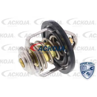 Thermostat d'eau ACKOJA A55-99-0001