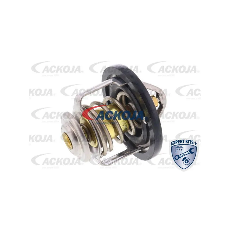 Thermostat d'eau ACKOJA A55-99-0001