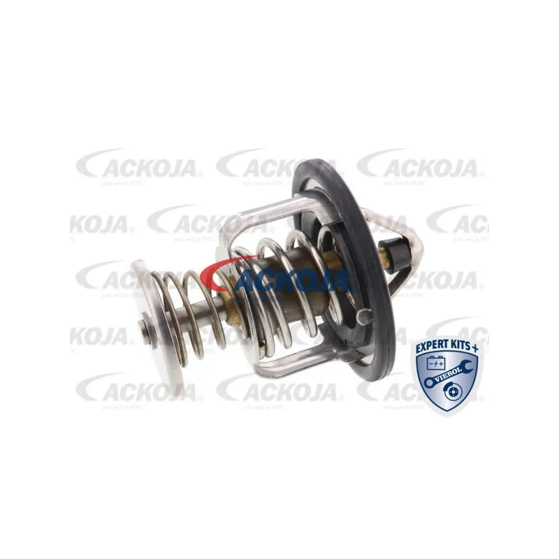 Thermostat d'eau ACKOJA A55-99-0002