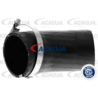 Gaine de suralimentation ACKOJA A63-0058
