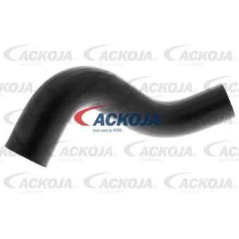 Durite de radiateur ACKOJA A63-1600