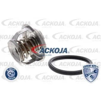 Thermostat d'eau ACKOJA A63-99-0004
