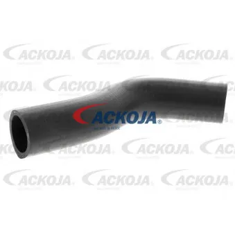 Durite de radiateur ACKOJA A64-1602