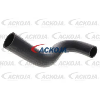 Durite de radiateur ACKOJA A64-1608