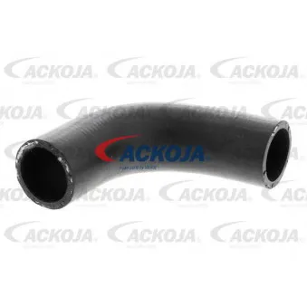 Durite de radiateur ACKOJA A64-1609