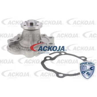 Pompe à eau ACKOJA A64-50006