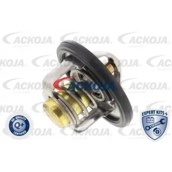 Thermostat d'eau ACKOJA A64-99-0002