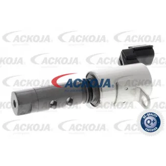 Valve de commande, réglage d'arbres à came ACKOJA A70-0348