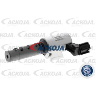 Valve de commande, réglage d'arbres à came ACKOJA A70-0353