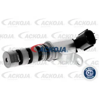 Valve de commande, réglage d'arbres à came ACKOJA A70-0354