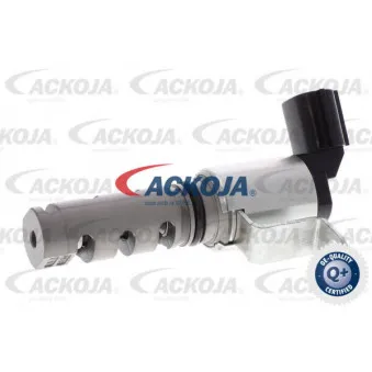 Valve de commande, réglage d'arbres à came ACKOJA A70-0355